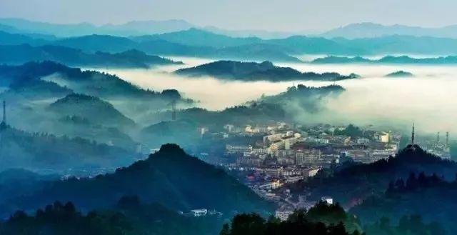 小汪汪