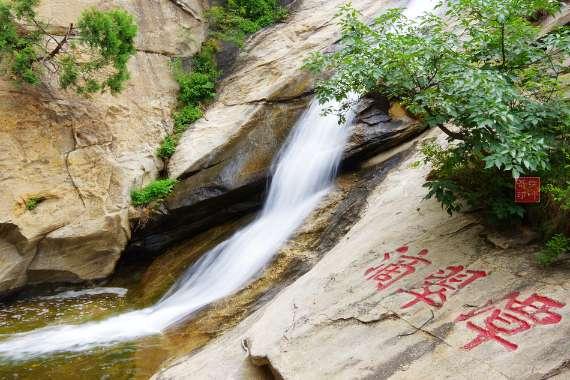僵尸吃怪物