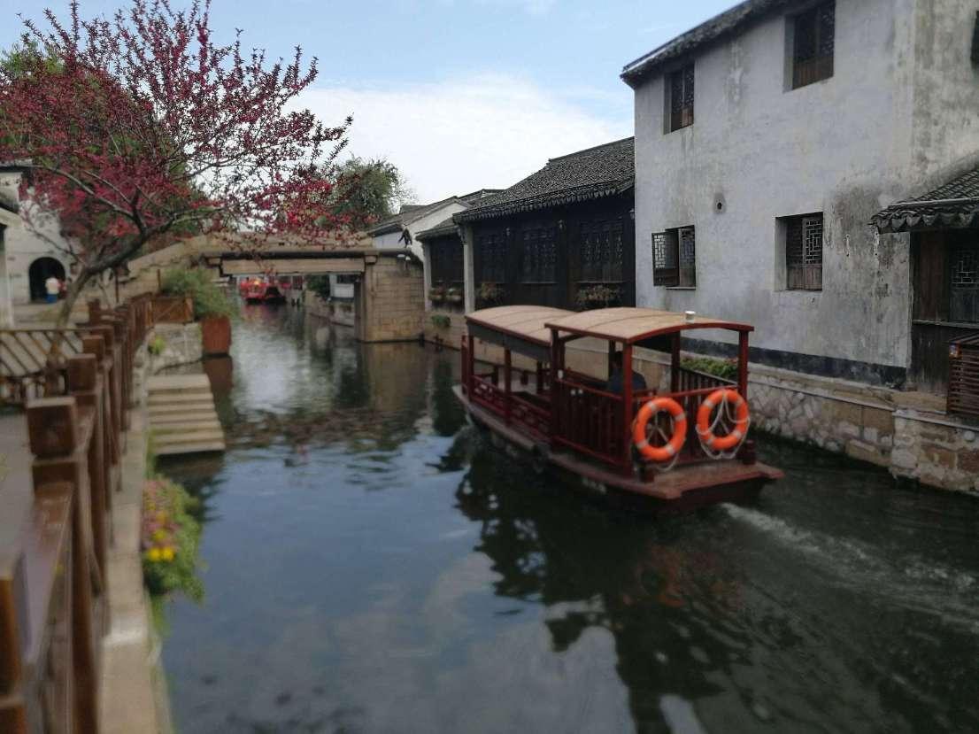 小鸡要回家